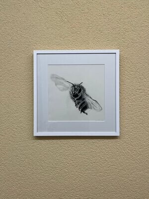 Zeichnung-Bee_18