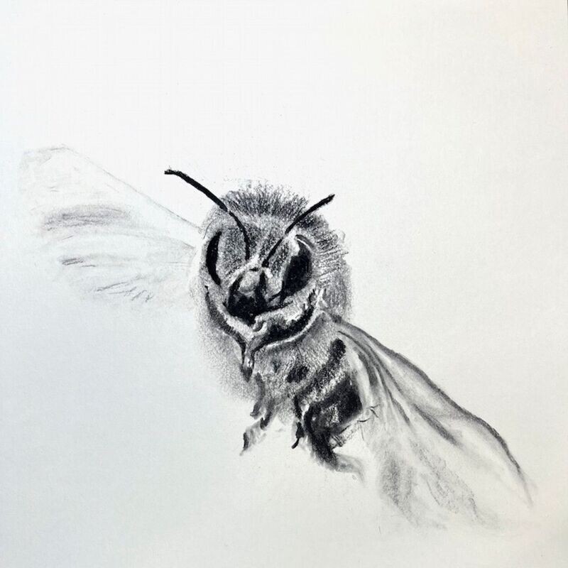 Grußkarte Bee_7