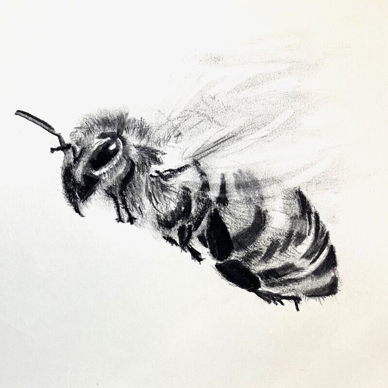 Grußkarte Bee_11