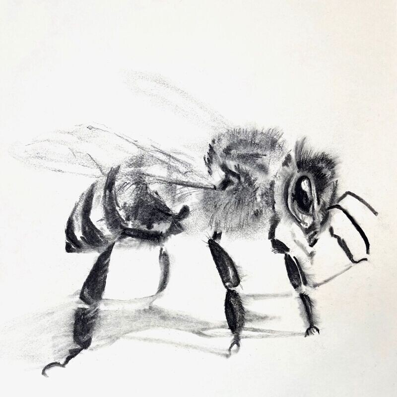 Grußkarte Bee_9