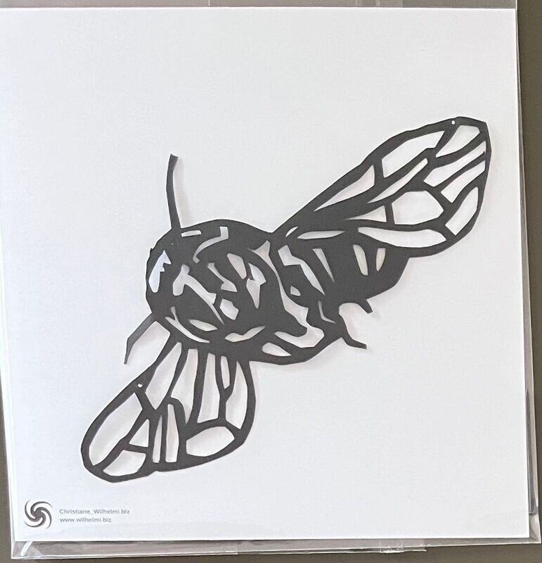 Bee_7, Scherenschnitt