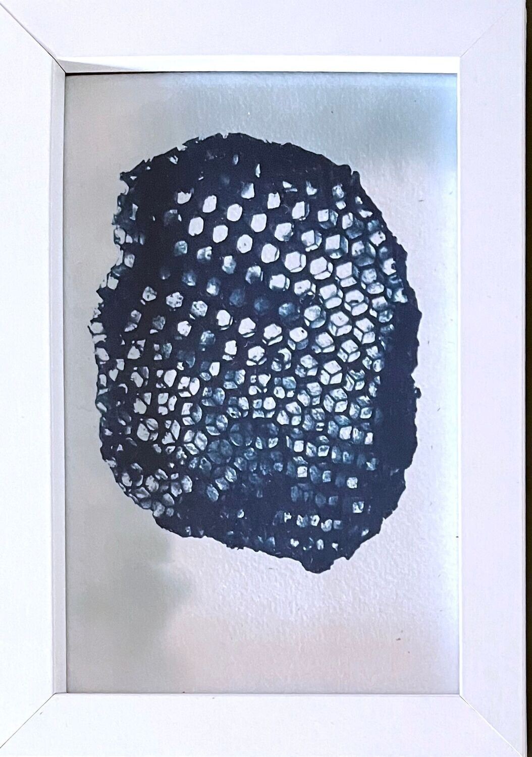 Cyanotypie