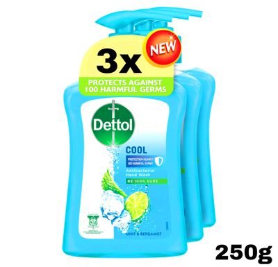 Detol Antibacterial Hand Wash - Cool 3x250mL