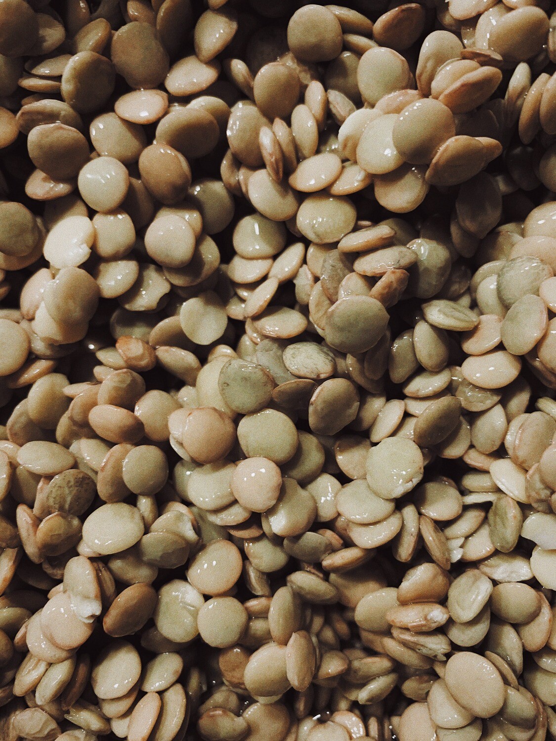 Green Lentils