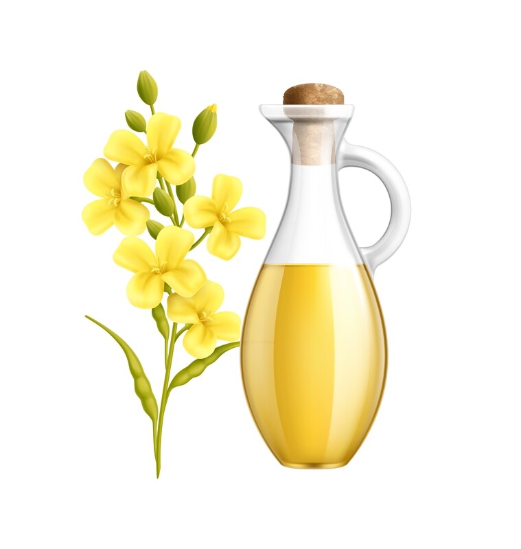 Rapeseed Oil