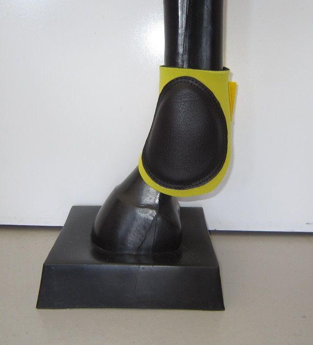 Fetlock/Back Boots (pair)