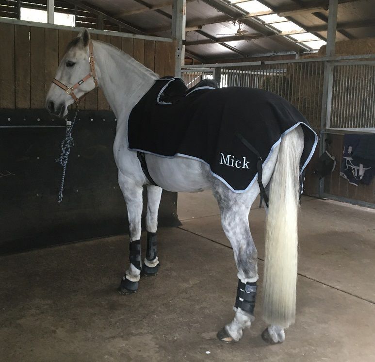 Exercise Sheets - Polar Fleece (Quarter Sheets)