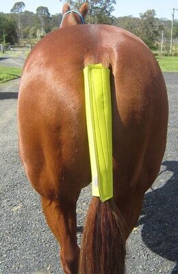 Tail Wraps Tail Wraps