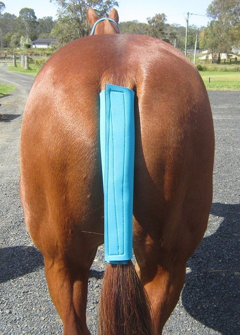Tail Wraps