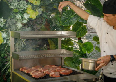 Synergy Trilogy ST 600 Grill on gas supply