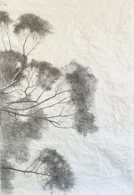 Atauri, dibujo