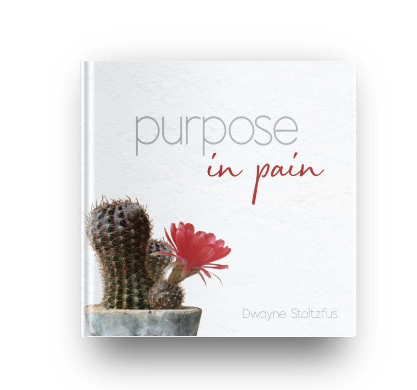 Purpose in Pain