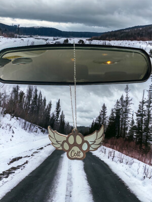 Pet Memorial Angel Wings
