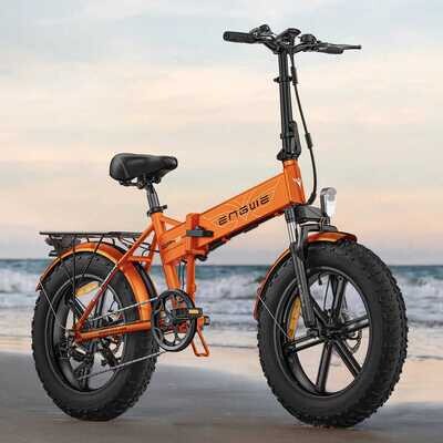 20 Inch Fat Tire 750W Mountain Electric Bicycle