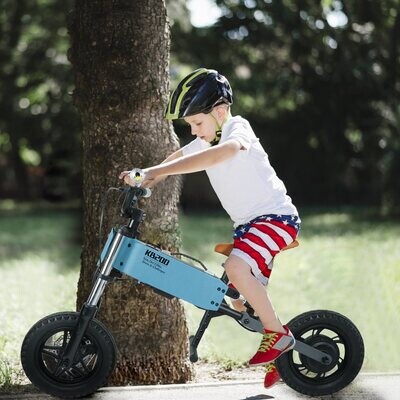 Toys &amp; Outdoor Recreation