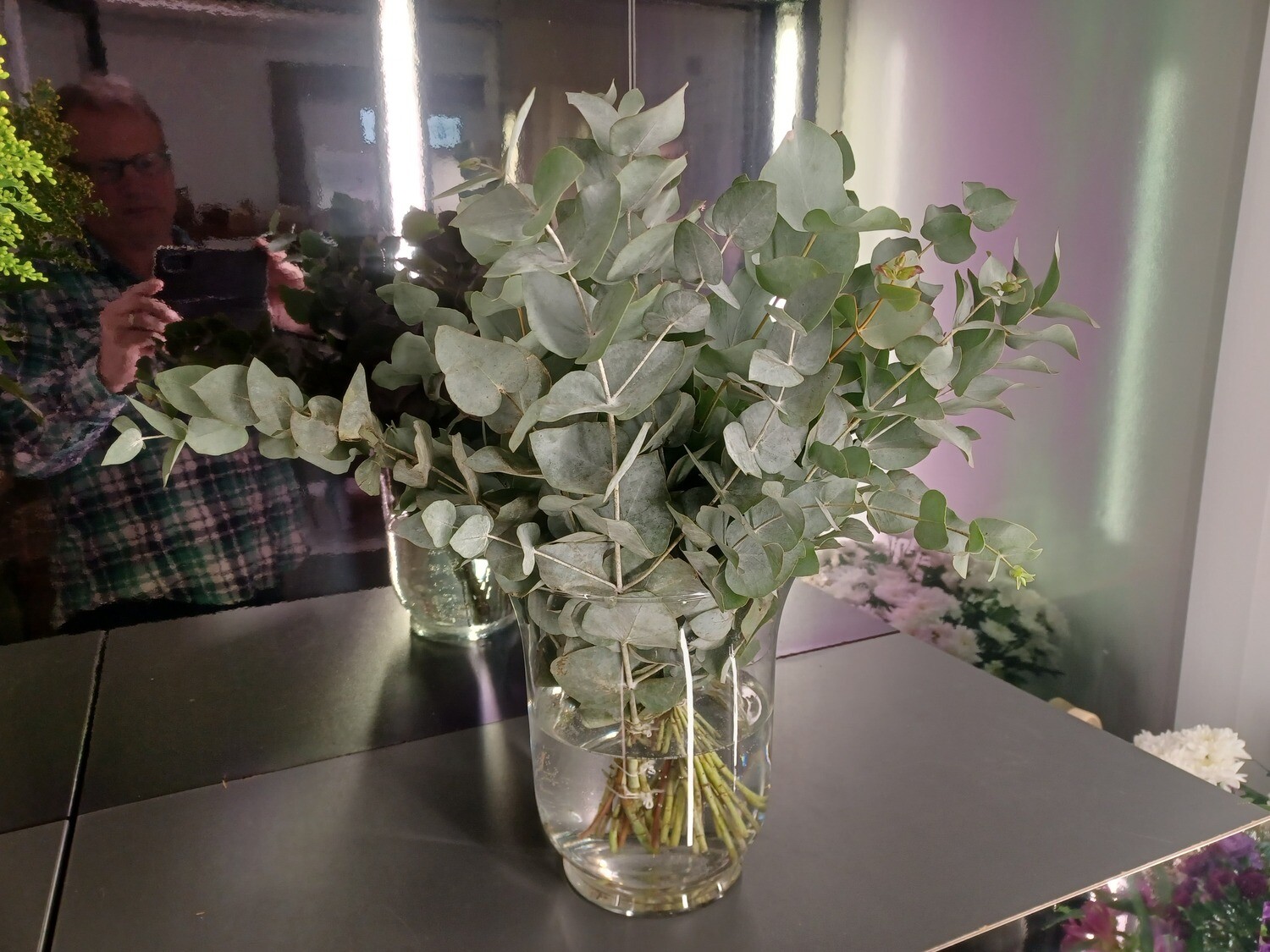Eucalyptus Bunch