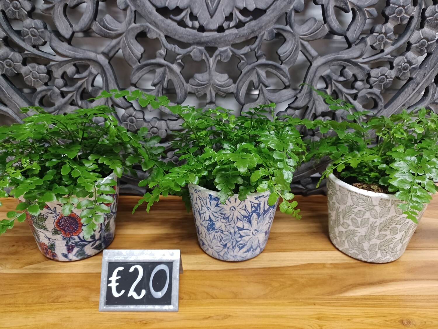 Table Top Fern with Deco container