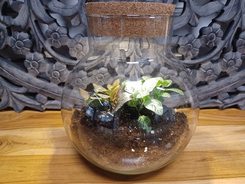 Terrariums