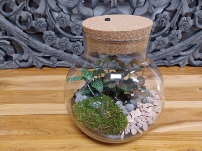 Terrarium with LED light