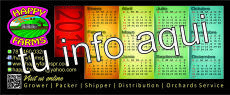 Calendario 1/3 de Pagina