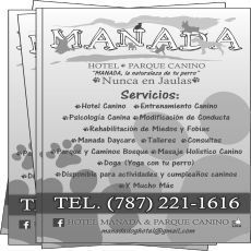 Hojas Sueltas Página entera