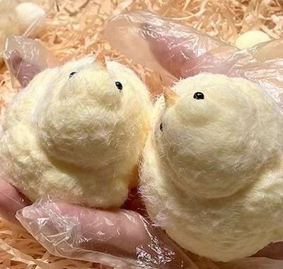Fluffy Chicken Squishy
