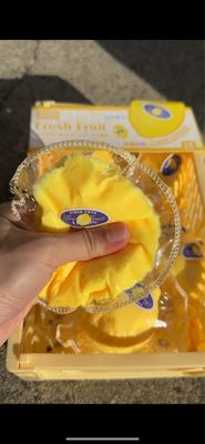 Lemon Taba Squishy