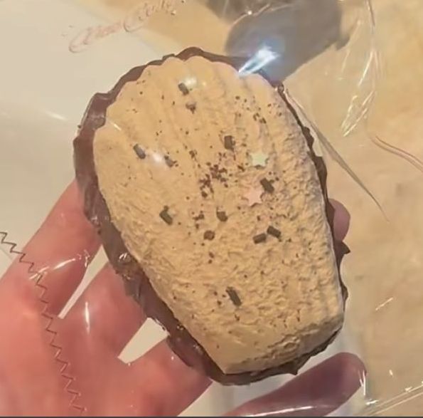 Chocolate Madeleine Taba Squishy