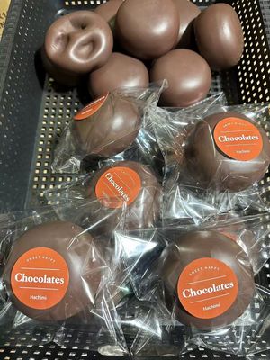 Daifuku Bun Slow Rising Foam Squishy