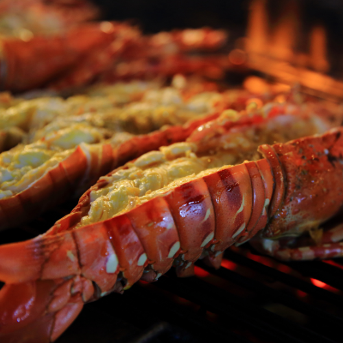 Hibachi Lobster