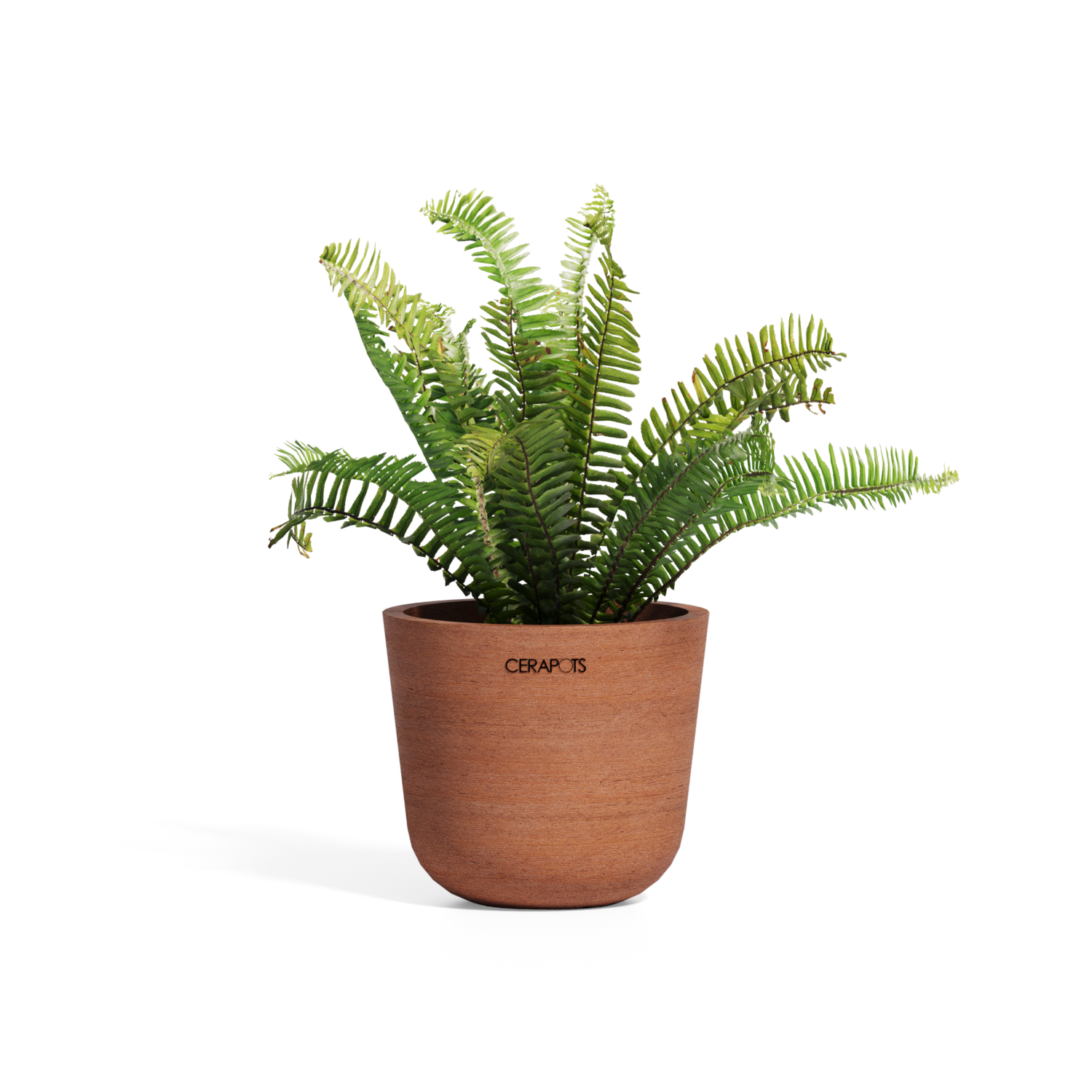 Cerapots Bolin 15 Antique