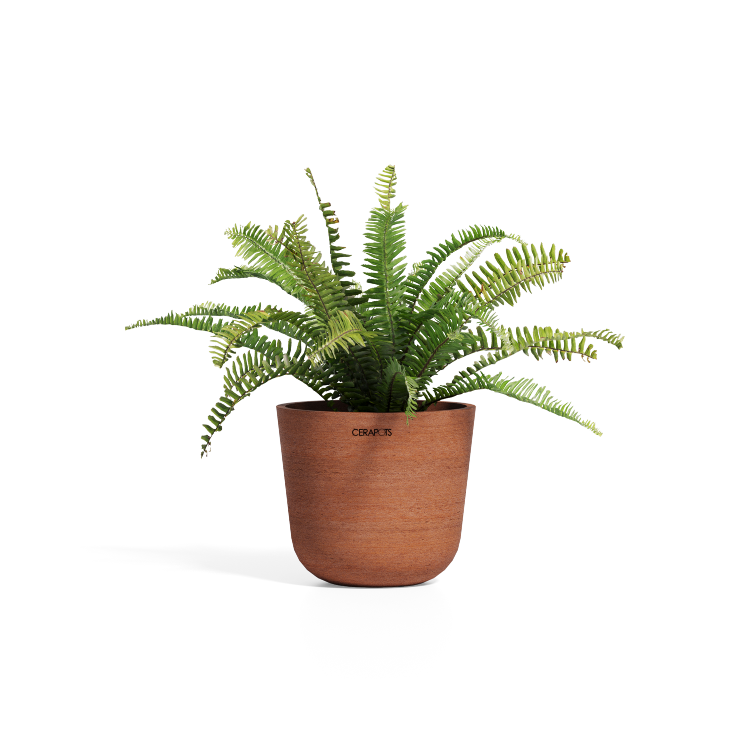 Cerapots Bolin 25 Antique