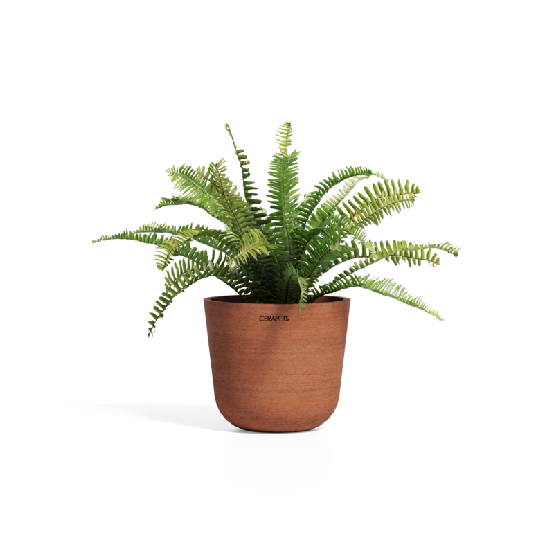 Cerapots Bolin 25 Antique