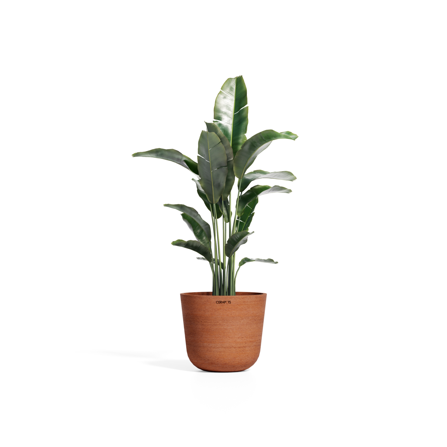 Cerapots Bolin 35 Antique