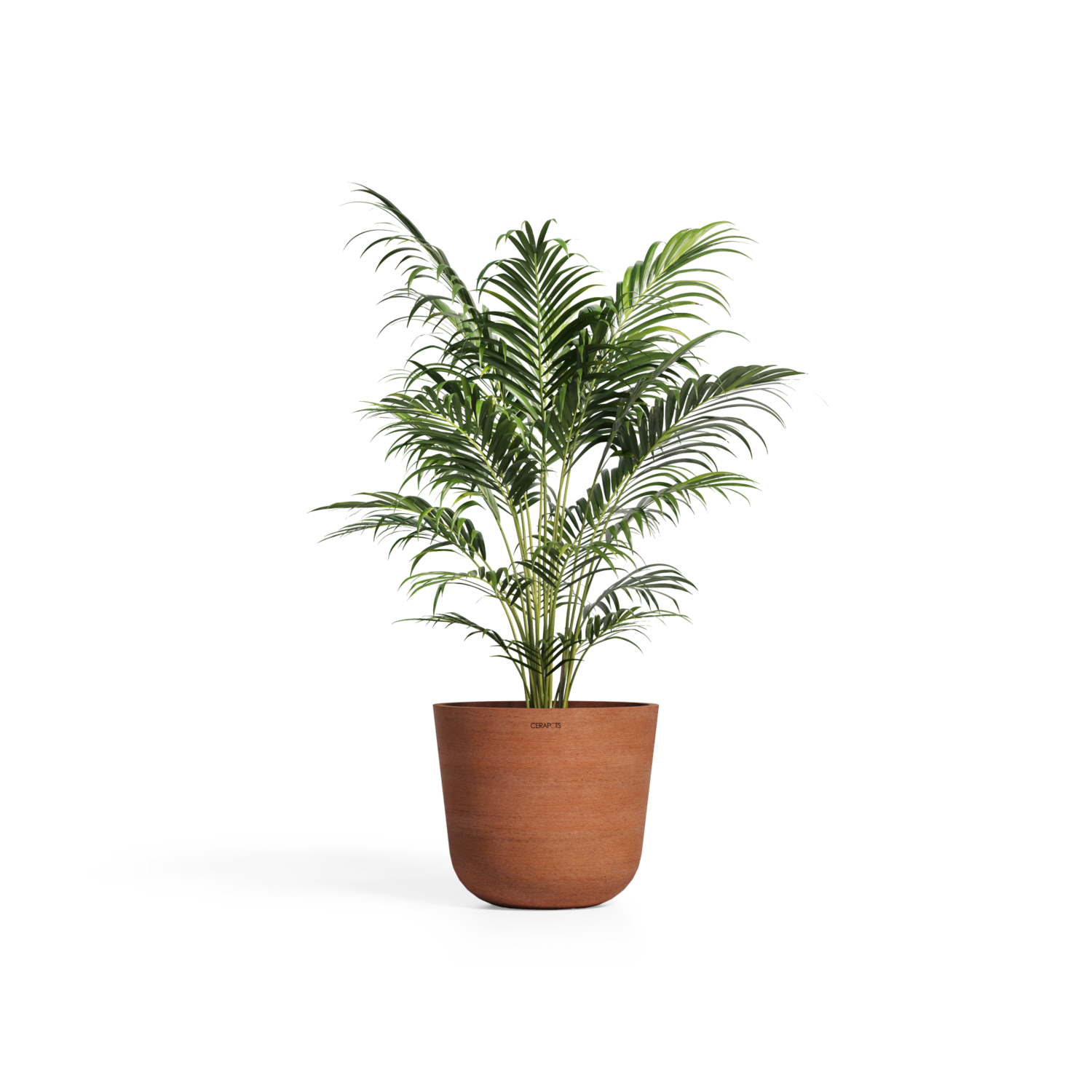 Cerapots Bolin 45 Antique