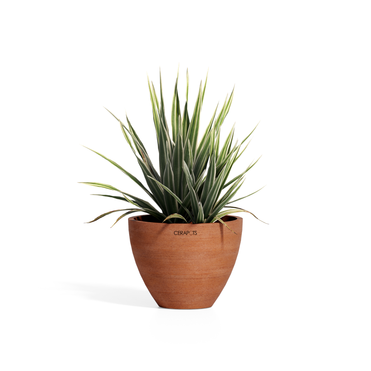 Cerapots Durin 17 Antique