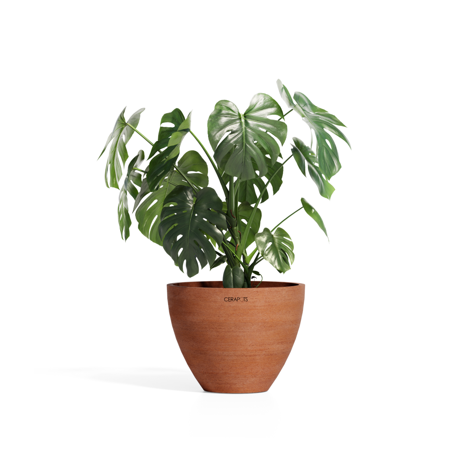 Cerapots Durin 41 Antique