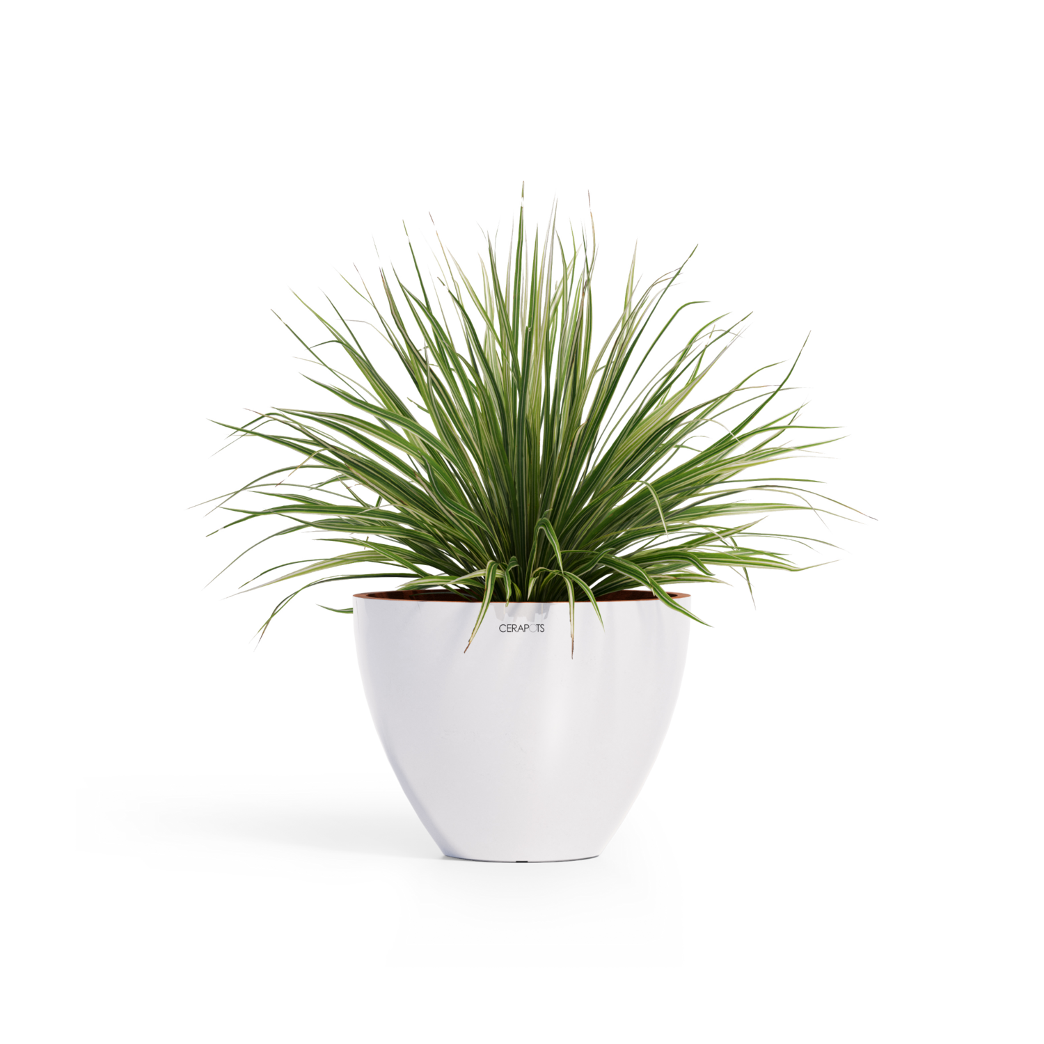 Cerapots Durin 52 Pearl