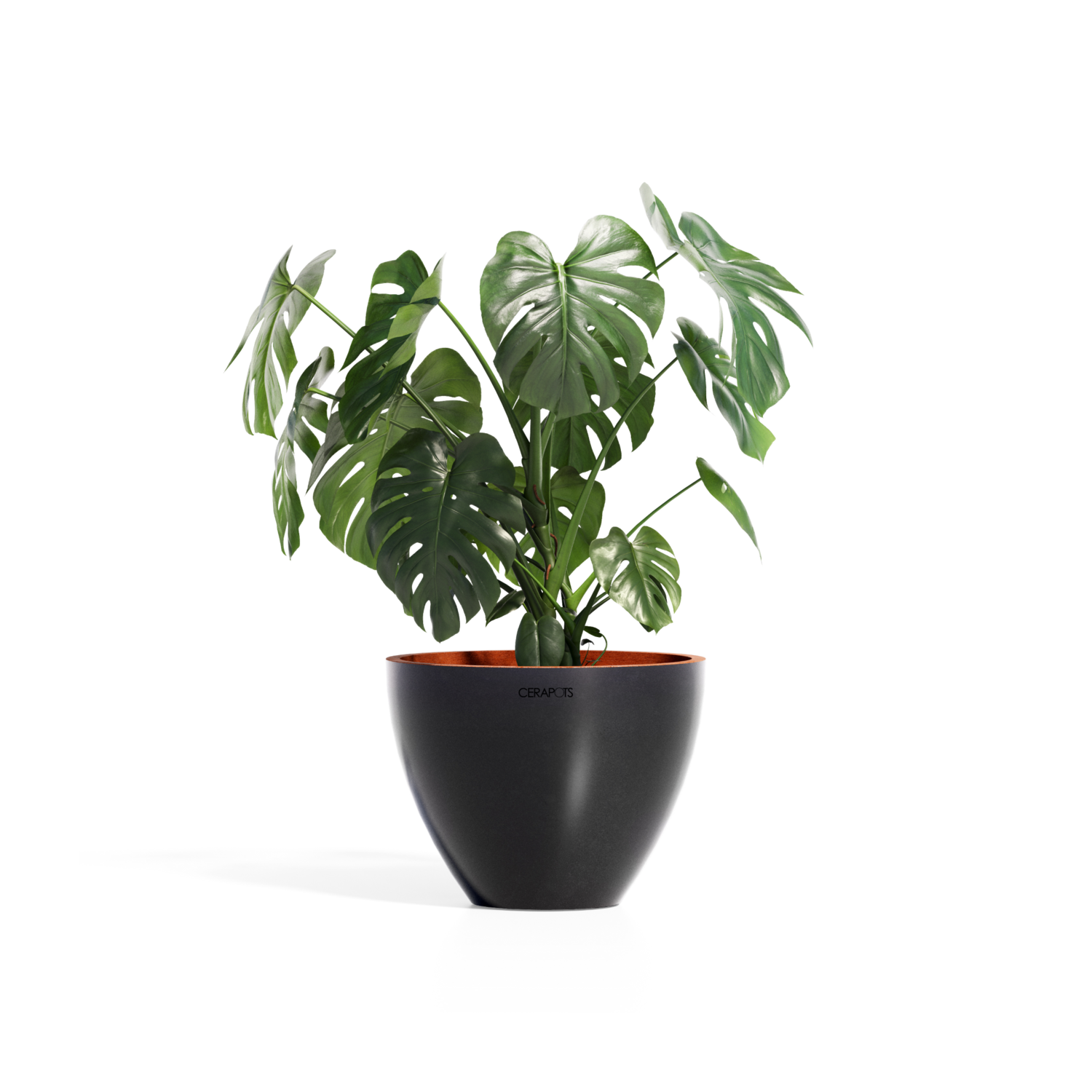 Cerapots Durin 41 Midnight