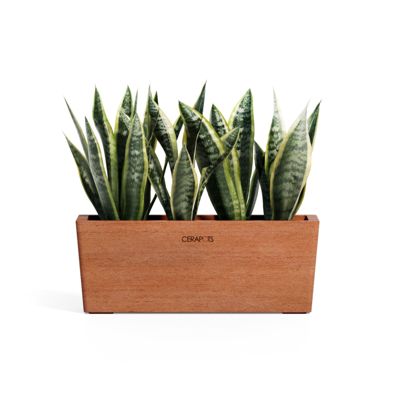Cerapots Kavaa 40 Antique