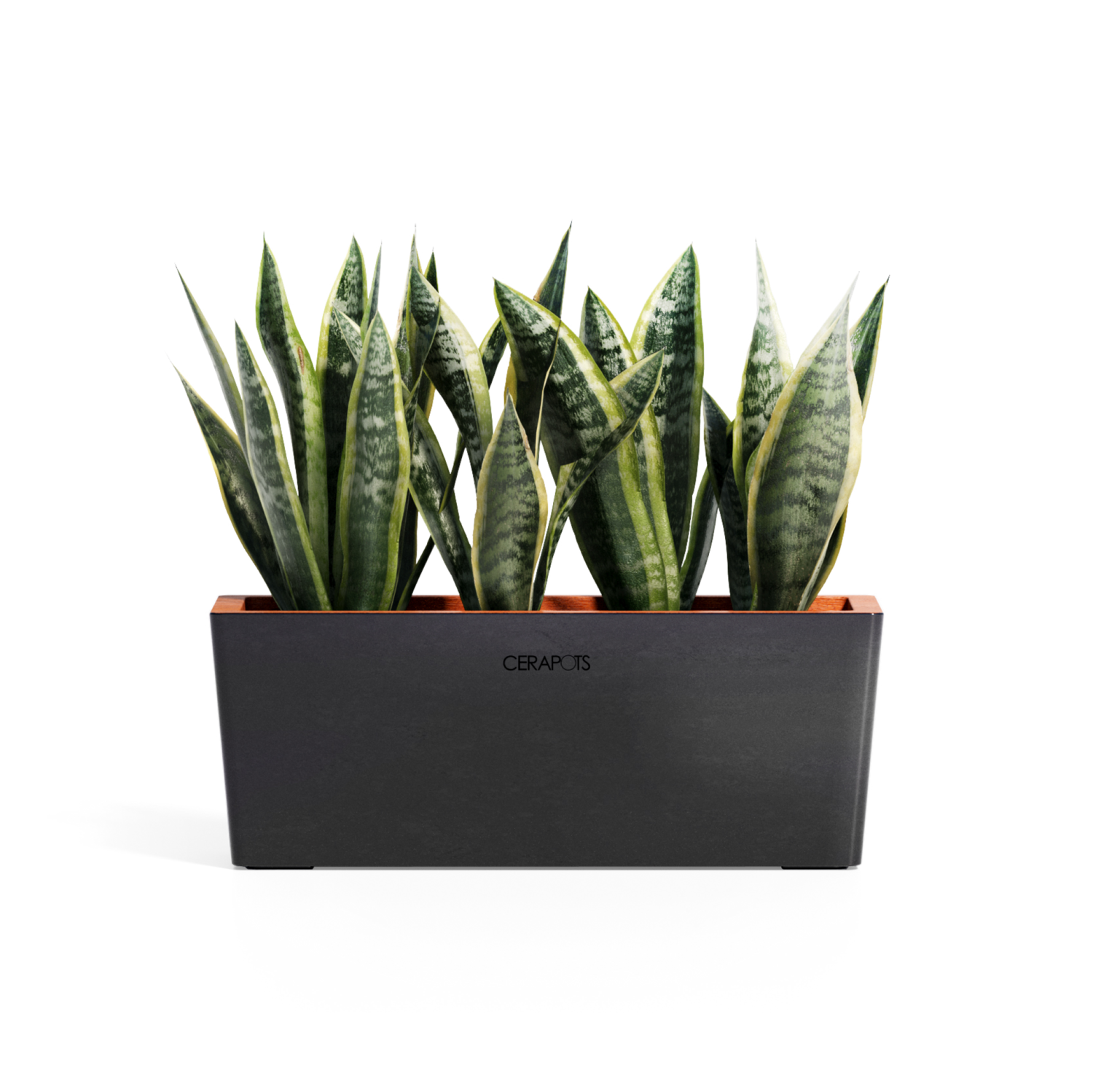 Cerapots Kavaa 40 Midnight