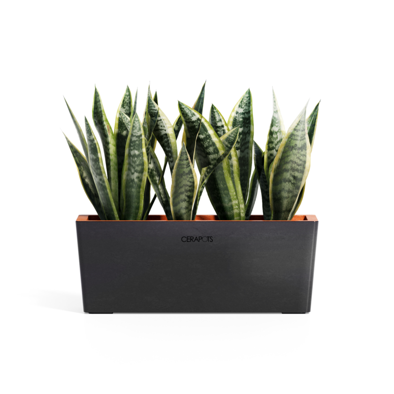 Cerapots Kavaa 40 Midnight