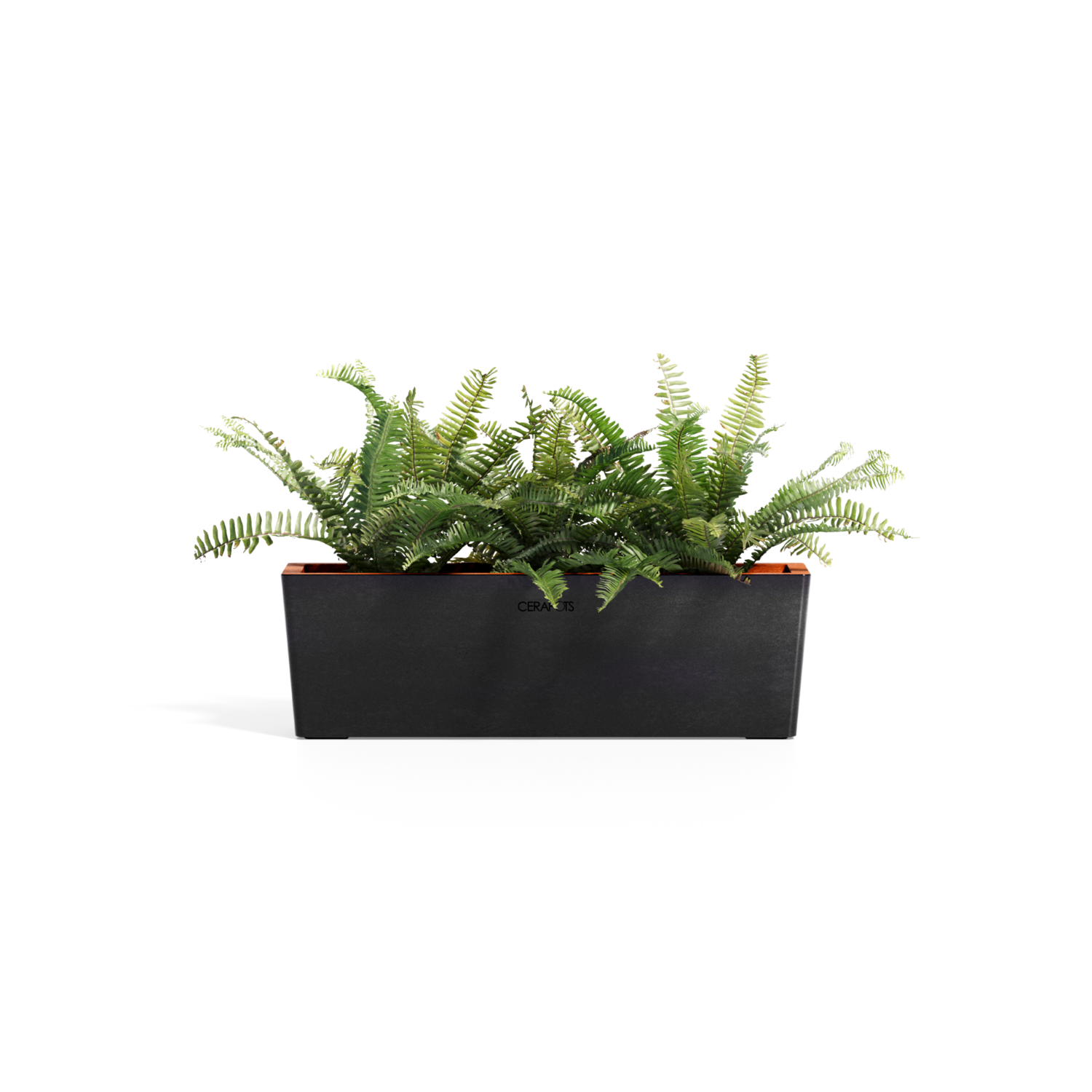Cerapots Kavaa 50 Midnight