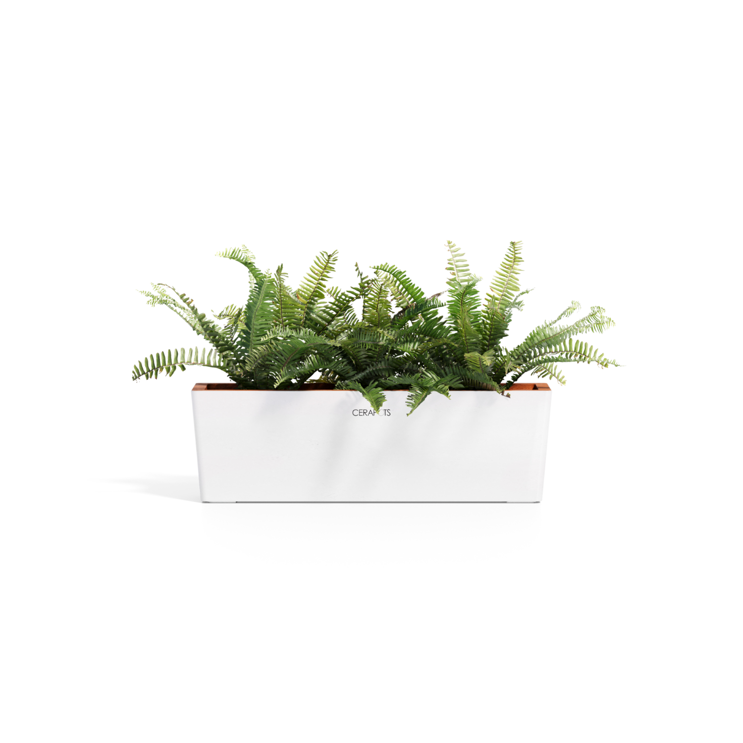 Cerapots Kavaa 50 Pearl