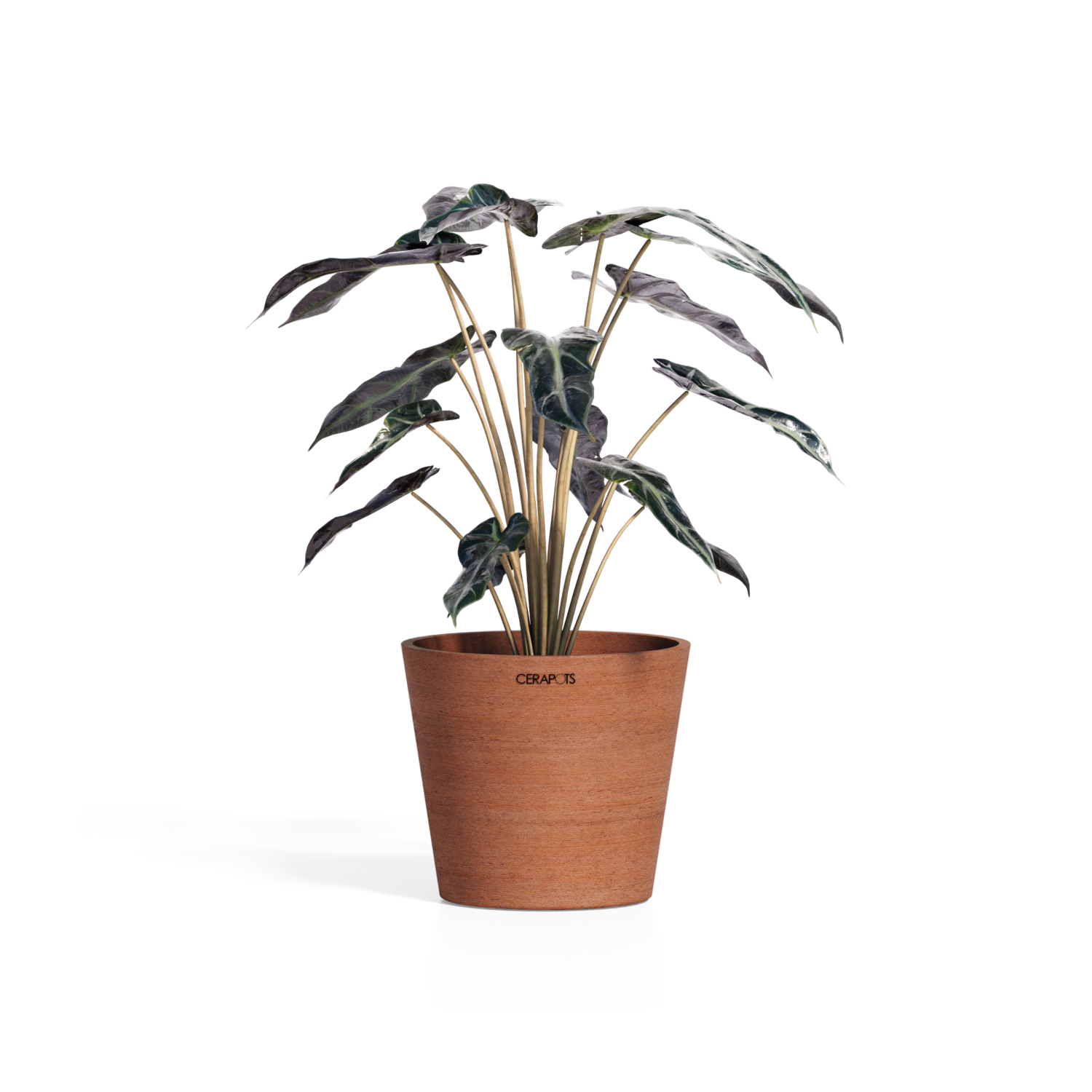 Cerapots Onku 15 Antique