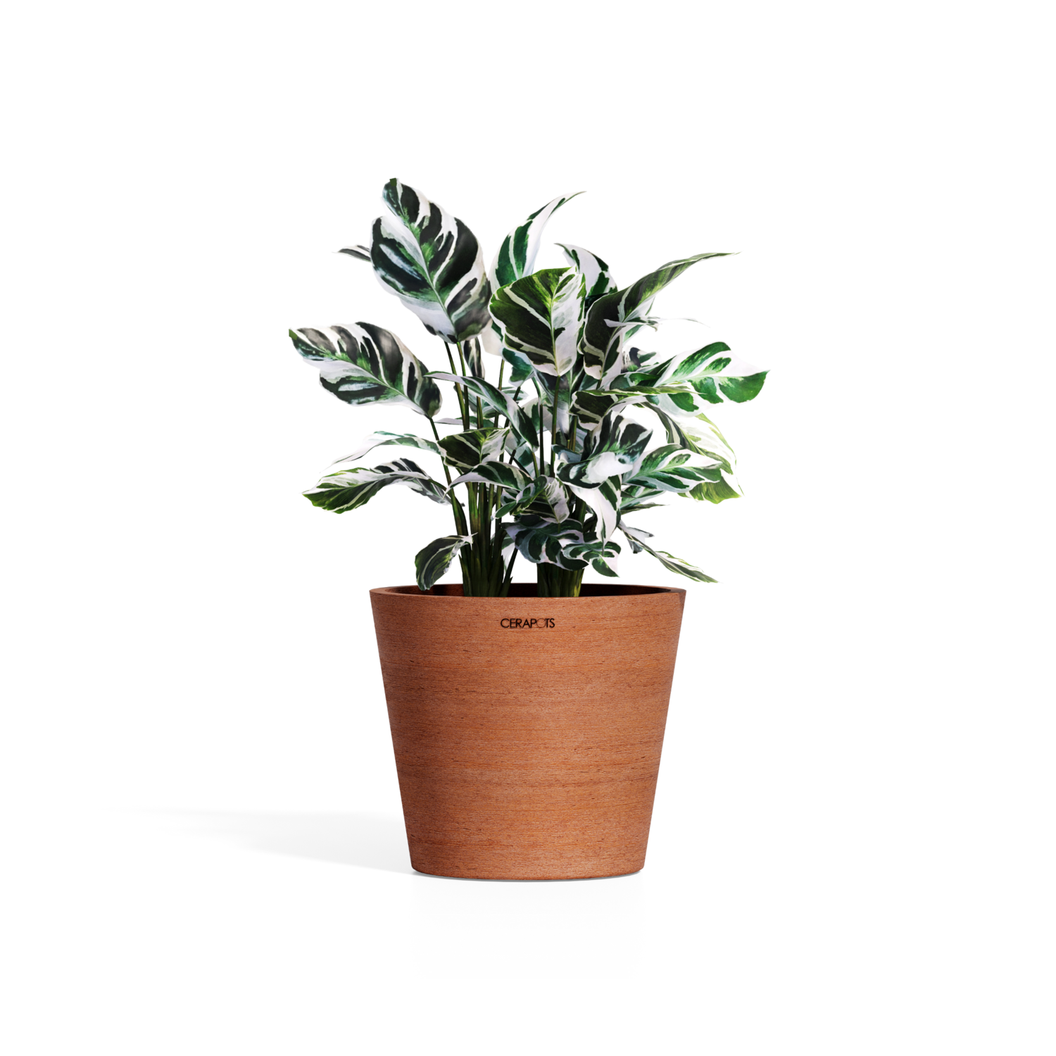 Cerapots Onku 35 Antique