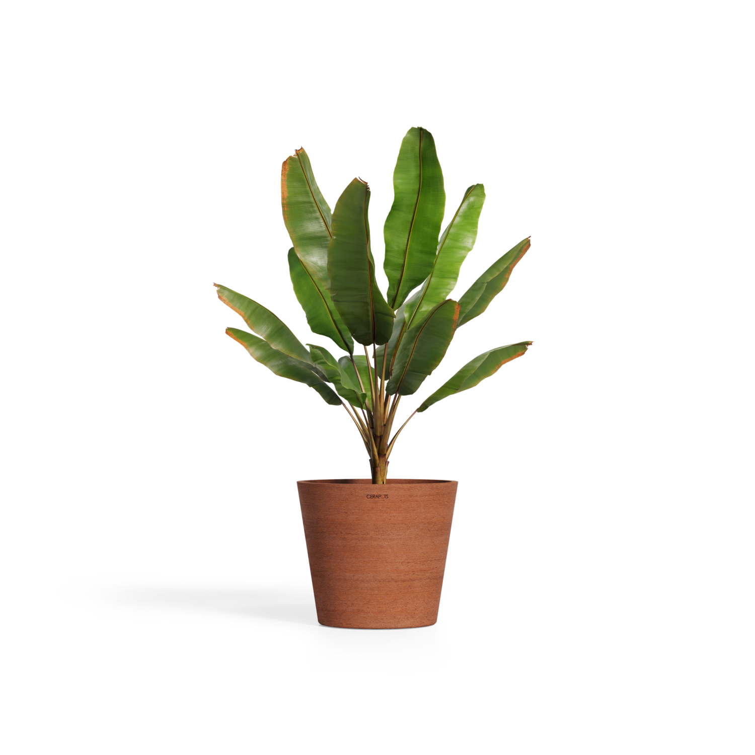 Cerapots Onku 45 Antique