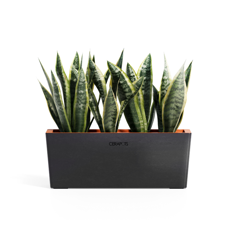 Cerapots Kavaa 40 Midnight