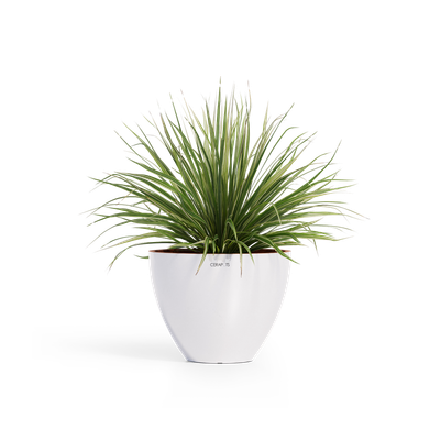 Cerapots Durin 52 Pearl