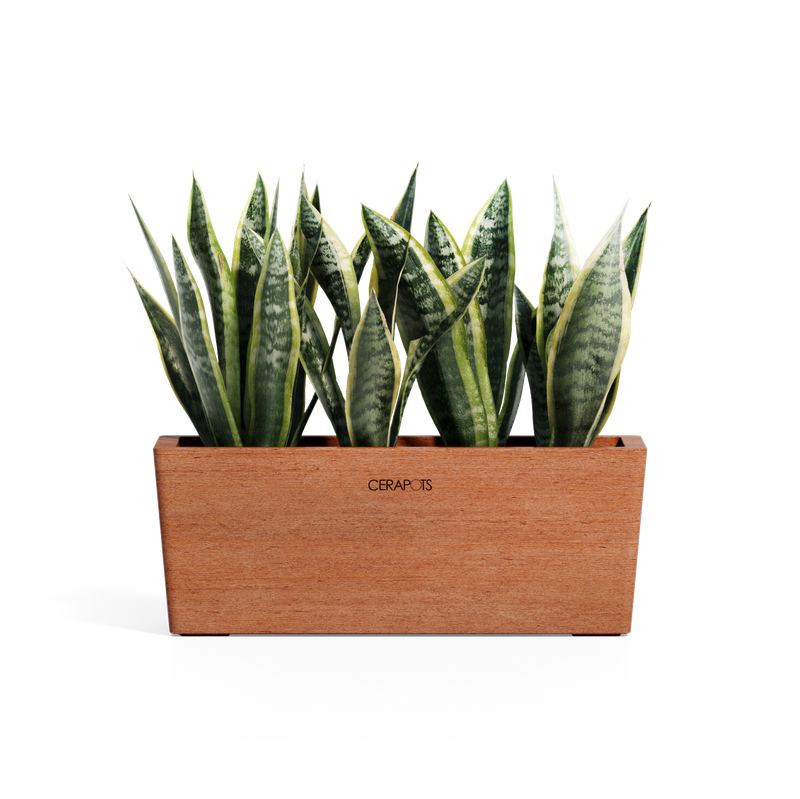 Cerapots Kavaa 40 Antique